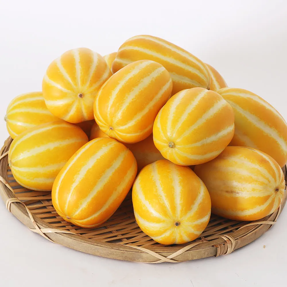 [농할쿠폰] 더프레시 국내산 성주 참외 1kg 신선한 참외 산지직송