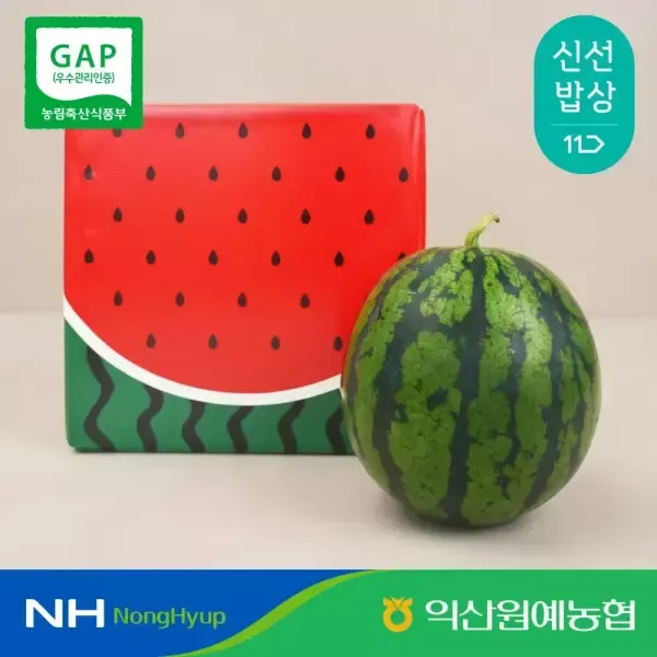 [11번가] [익산원예농협] 비파괴 당도선별 고당도 꿀수박 8kg (8kg이상)