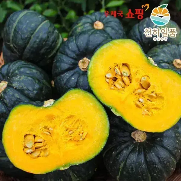[11번가] [우체국쇼핑] 26년 제주 산지 첫발송 천하일품 제주 미니 (밤)단호박 2kg (특품 3-9수) 2개 구매시 4.5kg 발송