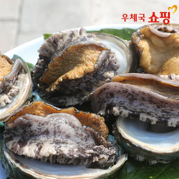 [11번가] [우체국쇼핑] 더욱 신선한 바다마을 완도 특대활전복 1kg(9-11미),왕특대활전복 1kg(6-7미))