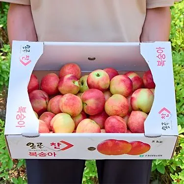 [출시기념 3,000원 추가할인쿠폰!] 올해 첫수확~ 달콤가득 신비복숭아 1kg 외