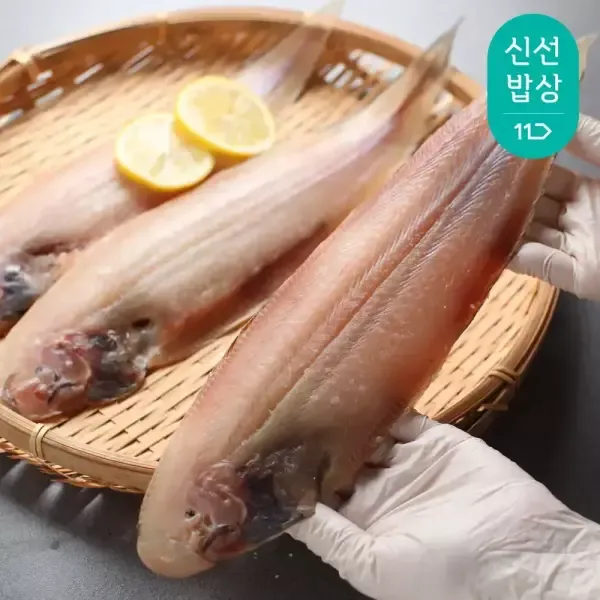 [11번가] 자연산 반건조 서대 30-35cm x 8미 / 박대 / 내장손질