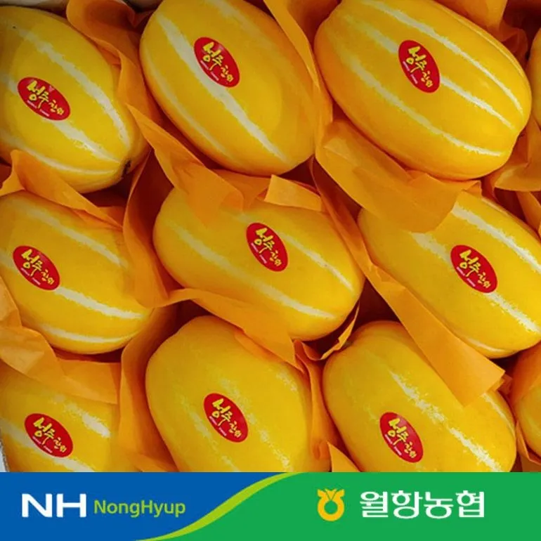 [농할 국내산][성주월항농협] 당도선별 정품 성주꿀참외 특품/가정용(2~10kg) 택1