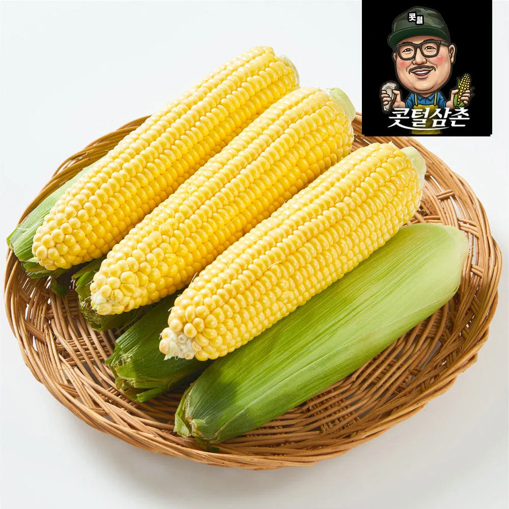 초당옥수수 콧털삼촌 농장 3차선별 당일수확 산지직송 옥수수