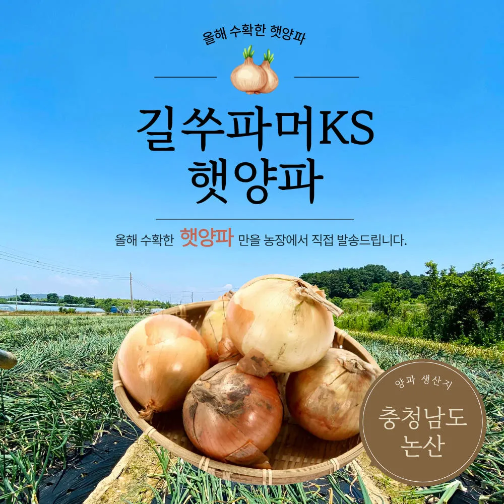 [길쑤파머KS][26년 햇양파] 3kg 5kg 7kg 10kg 국내산 햇양파 혼합 장아찌용