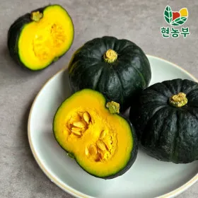산지직송 제주 미니밤호박 못난이 혼합 10kg 포슬포슬한 밤맛 보우짱 품종