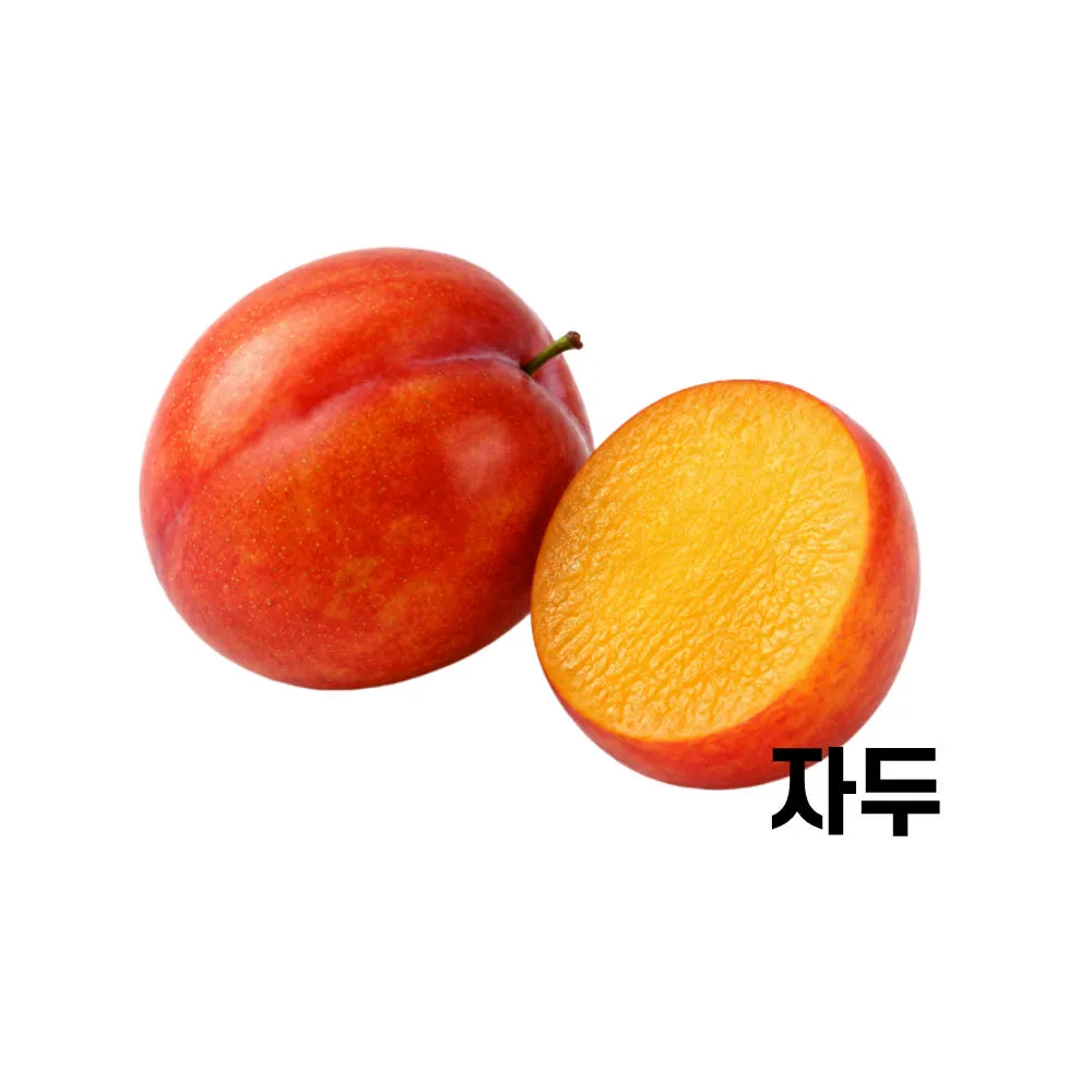 사철마켓 건강한 프레시 식단 의성 자두