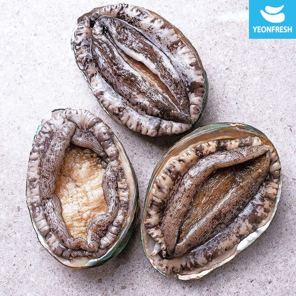 [연프레시]완도활전복 1kg 9-10미(미당100g내외) [산소팩, 무료배송] : 롯데ON
