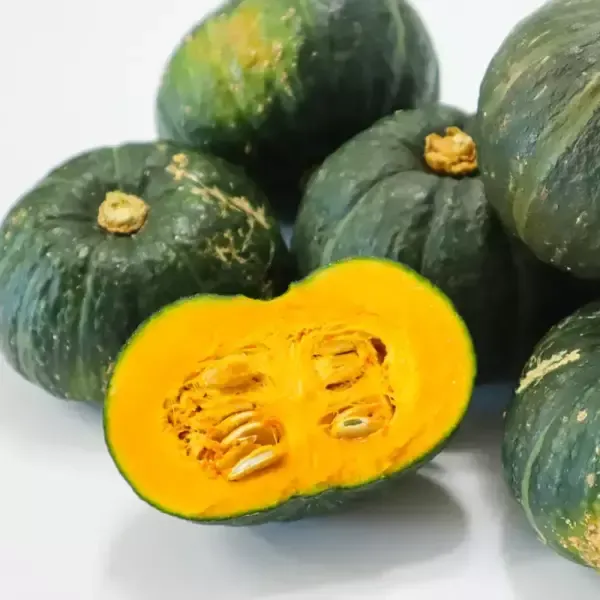 [11번가] 제주 보우짱 밤호박 달콤한 정품 미니밤호박 3kg