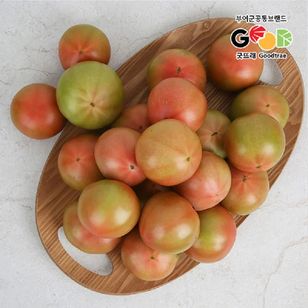 [농할쿠폰] 국내산 유럽종 완숙토마토 2kg(1-3번과)