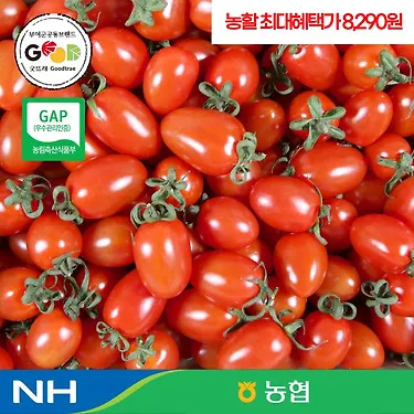 (농할) 국내산 대추방울토마토 2kg(1~3번과)