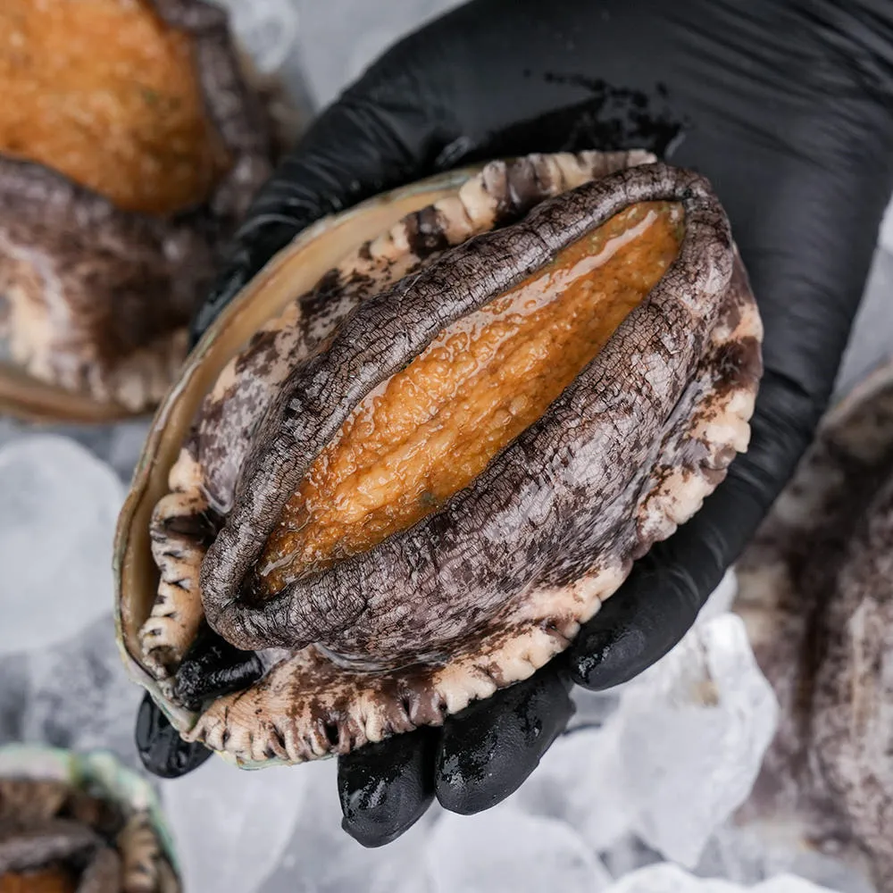 완도 전복 활전복 1kg 산소포장 꼬마 선물세트 산지직송
