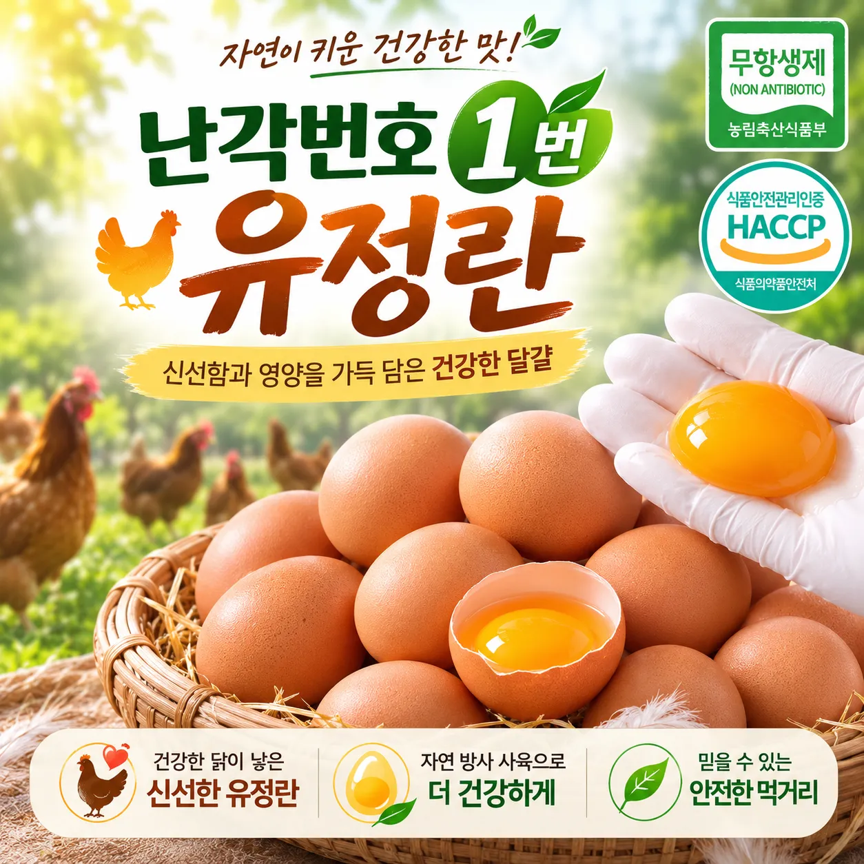 프리미엄 유정란 40구 난각번호1번 : 롯데ON