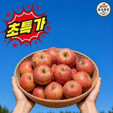 [산지직송] 못난이 사과 가정용 흠과 5kg 외