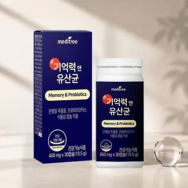 기억력 앤 유산균 3박스 장 뇌 건강 프로바이오틱스 | 톡딜