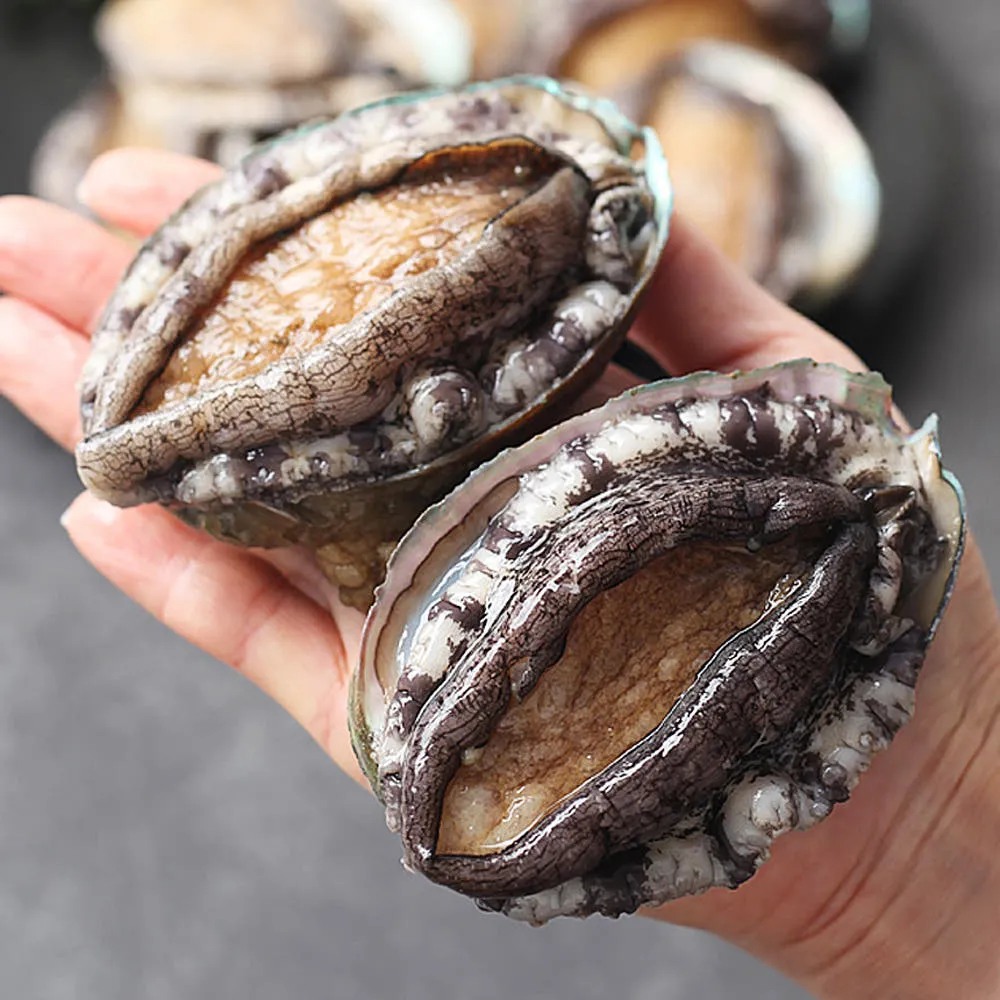 완도 활 특대 전복 1kg (9~10미)