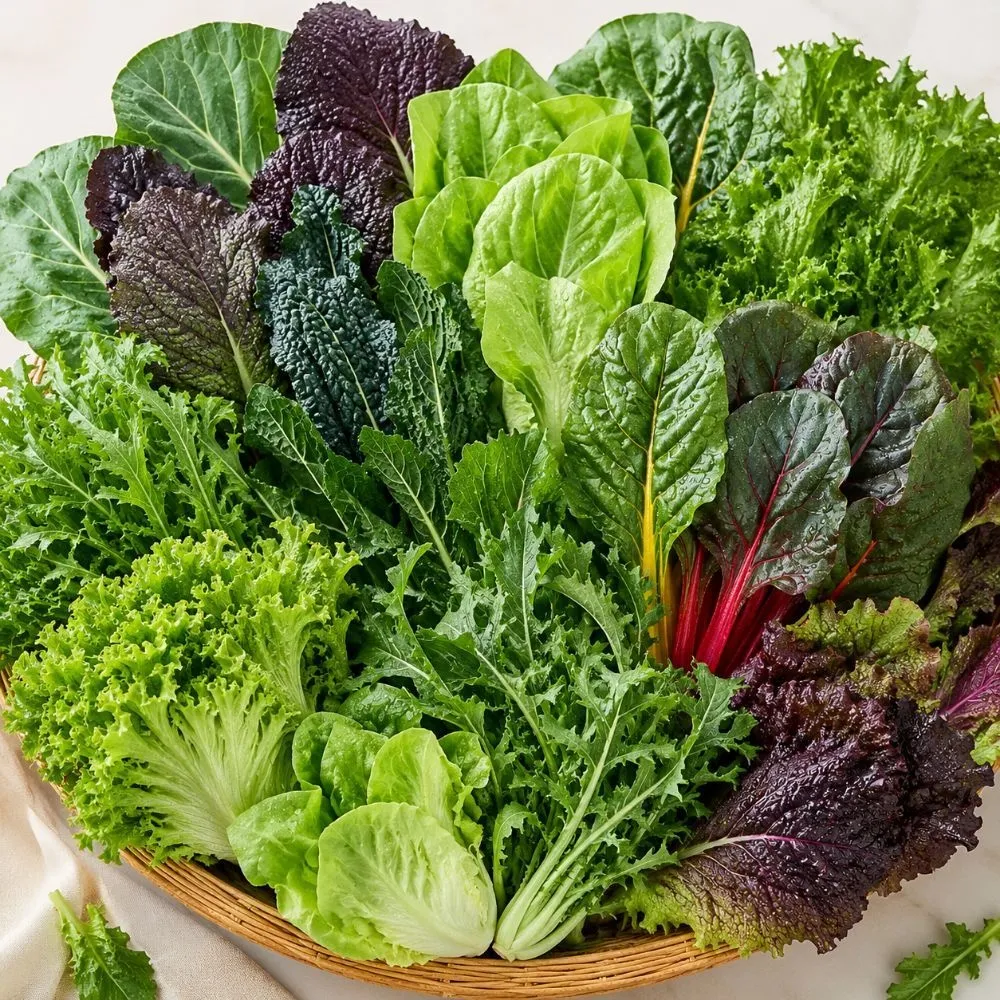 국내산 모듬 쌈채소 1kg