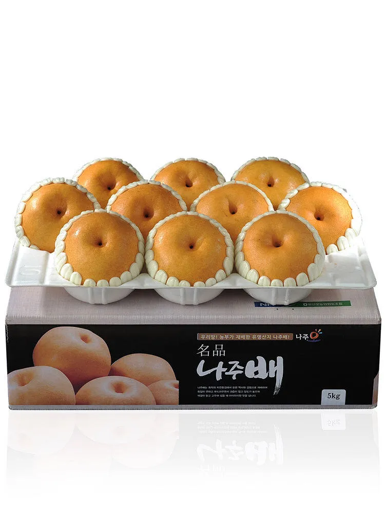 나주배 선물세트 5kg (9-10과)
