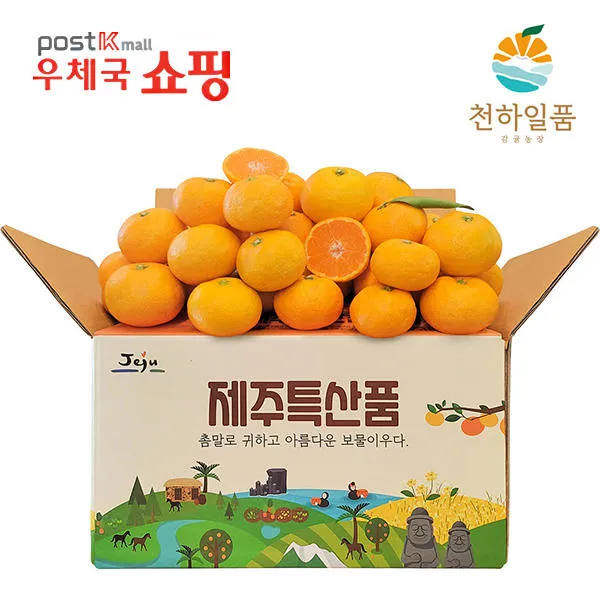 [우체국쇼핑] 첫수확 제주 노지감귤 소과로얄 3kg / 5kg