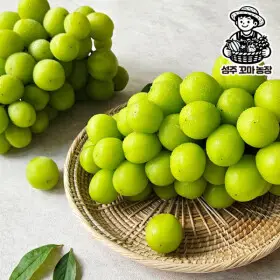 고당도 샤인머스켓 가정용 2kg 4-6수 산지직송 한정 수량 선착순 특가