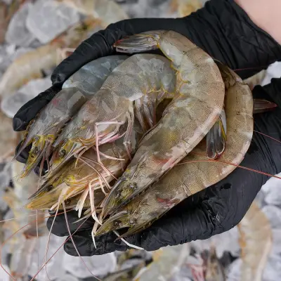 [그대의밥상] 국산 생물 흰다리새우, 38미 내외, 1kg, 1개
