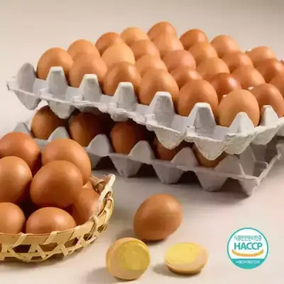 [심야마트][이앤티] 촉촉하고 맛난 구운란 중란 60구