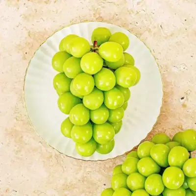 [농할] 샤인머스켓 특품 4kg 4-6수 당도선별
