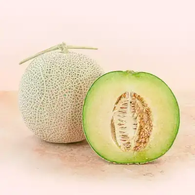 [농할] 국내산 머스크 메론 2kg 대과 2수 특품