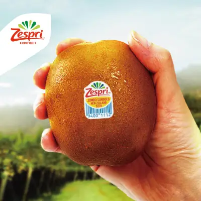[제스프리] 썬골드키위 자이언트 사이즈 총 3.2kg (21입/개당 150g내외)