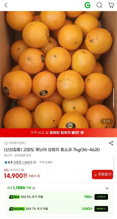 (신선집중) 고당도 못난이 오렌지 중소과 7kg(36~46과)