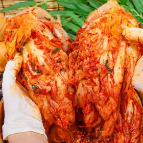 20년 장인김치 전라도식 배추김치(프리미엄) 10kg