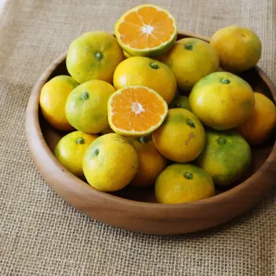 [미소] 제주 햇 극조생 감귤 4.5kg/9kg(실중량)