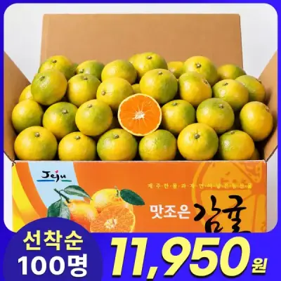 [T쇼페] 제주 햇 조생감귤 4kg 로얄과 + 500g 추가발송(총 4.5kg)