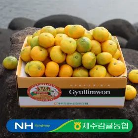 제주감귤농협 귤림원 감귤 4kg 중대과