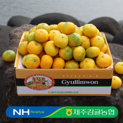[제주감귤농협] 귤림원 감귤 4kg 중대과