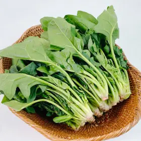 (신선집중) 제철 시금치 국내산 1kg 26년 첫 수확기념 초특가